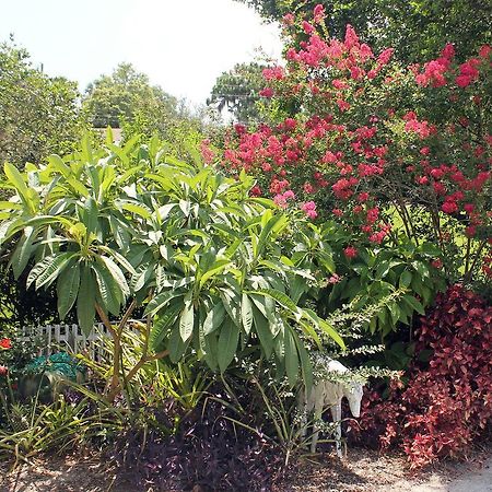 Heron Cay Lakeview Bed & Breakfast Mount Dora Extérieur photo