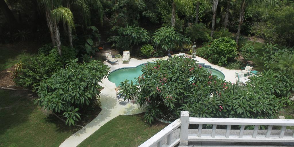 Heron Cay Lakeview Bed & Breakfast Mount Dora Extérieur photo