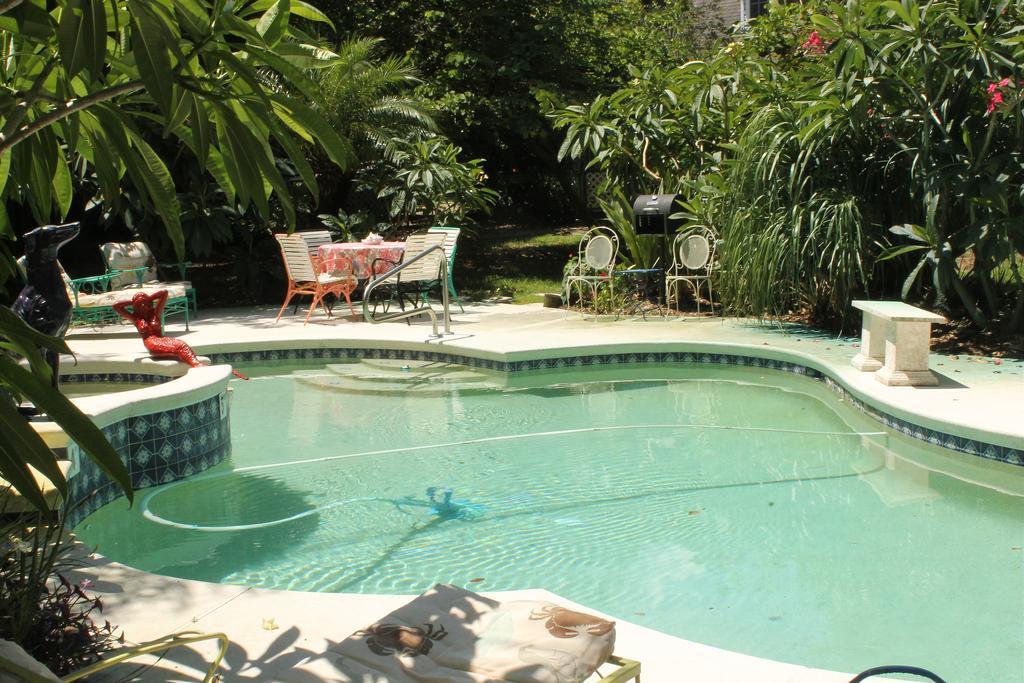 Heron Cay Lakeview Bed & Breakfast Mount Dora Extérieur photo