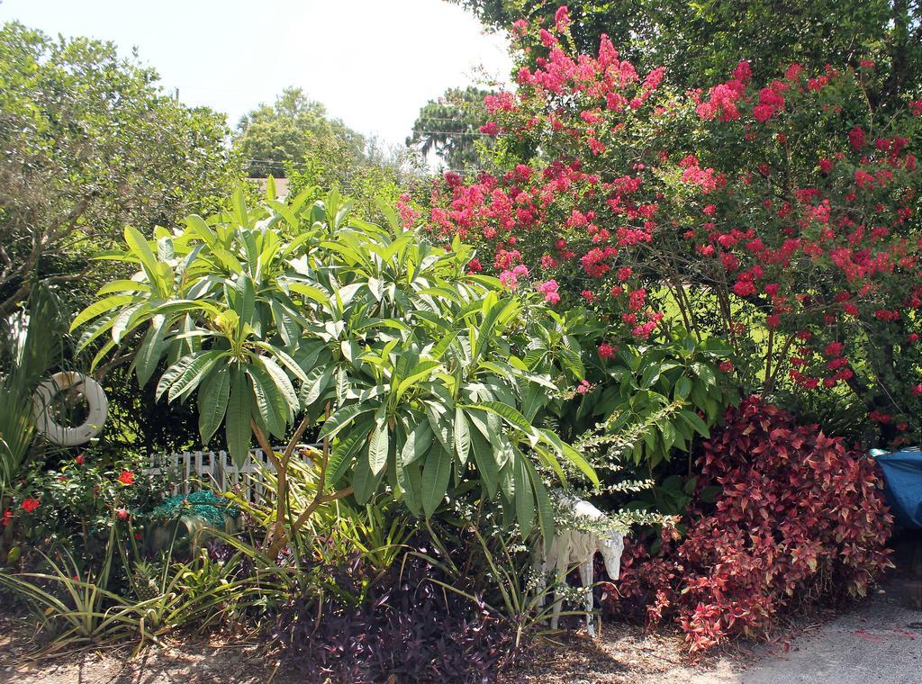 Heron Cay Lakeview Bed & Breakfast Mount Dora Extérieur photo