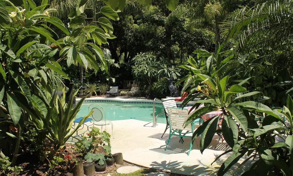 Heron Cay Lakeview Bed & Breakfast Mount Dora Extérieur photo