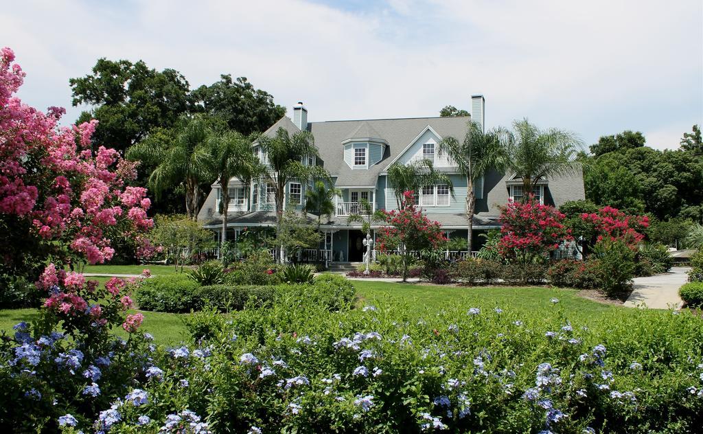 Heron Cay Lakeview Bed & Breakfast Mount Dora Extérieur photo